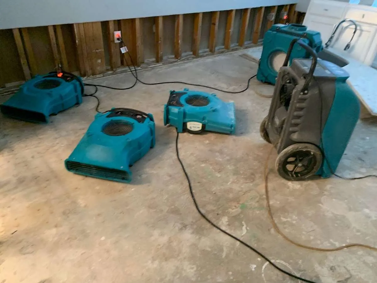 Water Damage Restoration services in Lyon, MI